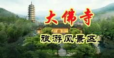 插白虎在线视频中国浙江-新昌大佛寺旅游风景区